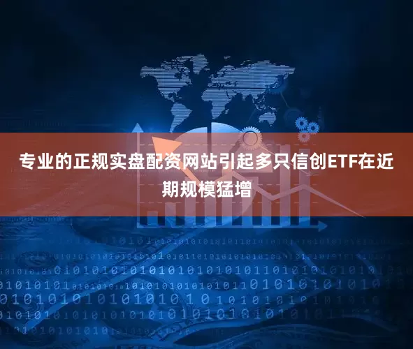 专业的正规实盘配资网站引起多只信创ETF在近期规模猛增