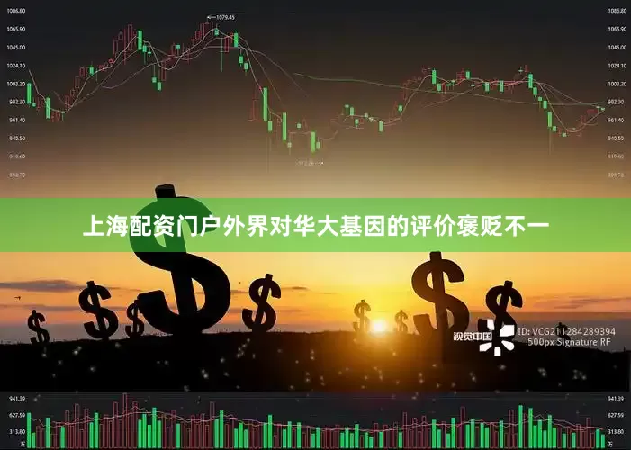 上海配资门户外界对华大基因的评价褒贬不一