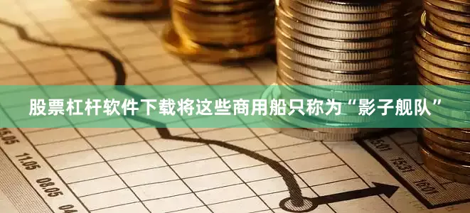 股票杠杆软件下载将这些商用船只称为“影子舰队”