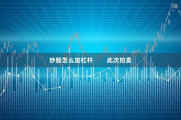 炒股怎么加杠杆        此次拍卖