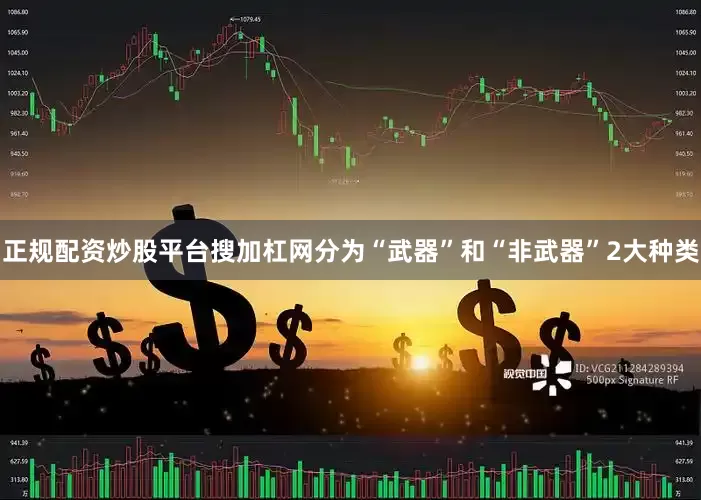 正规配资炒股平台搜加杠网分为“武器”和“非武器”2大种类