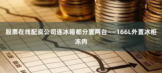 股票在线配资公司连冰箱都分置两台——166L外置冰柜冻肉