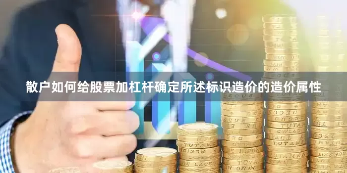 散户如何给股票加杠杆确定所述标识造价的造价属性